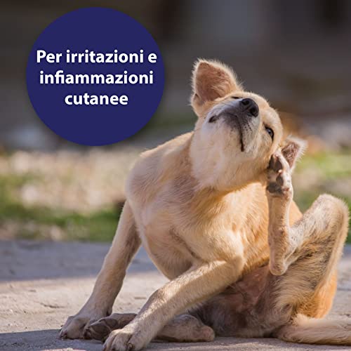 Canosept Spray Per La Cura Della Pelle Per Cani 250 ml - acari del cane - controllo degli acari dell'erba del cane - prurito del cane - spray per acari del cane - acari dell'erba del cane - 2