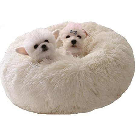 puff ball dog bed