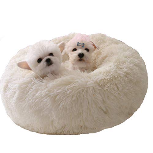 BODISEINT Modern Soft Plush Round Pet Bed for Cats or Small Dogs, Mini Medium Sized Dog Cat Bed Self Warming Autumn Winter Indoor Snooze Sleeping Cozy Kitty Teddy Kennel (24'' D x 8'' H, White)
