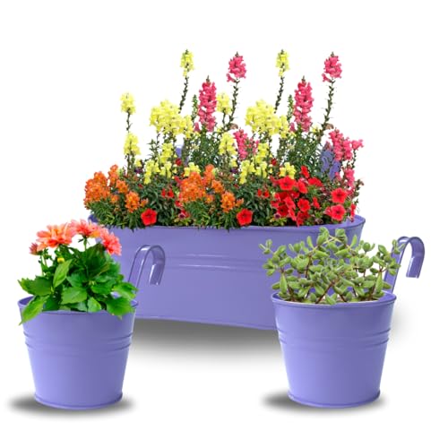 Trendi Set of 3 Hanging Plant Pots, Flower Planters with Detachable Hook for Balcony Fence, Garden, Home Decor, Indoor/Outdoor Wall Planters for Railings & Fences