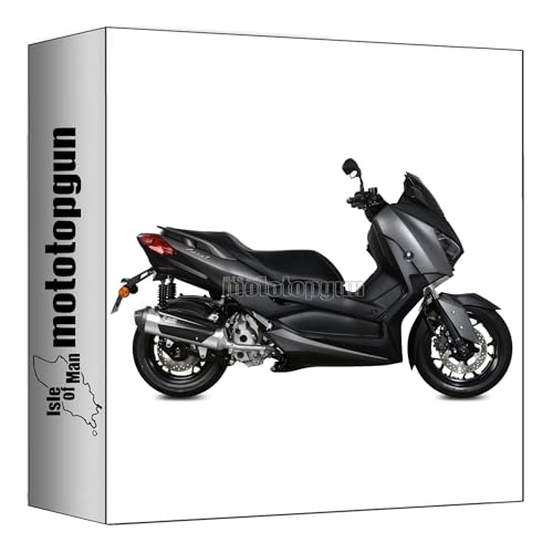 Échappement racing Mivv sans catalyseur acier pour X-Max 300