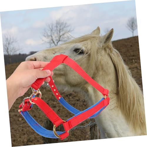 Cabestro para caballo que evita rozaduras gracias a su material cómodo y resistente 5