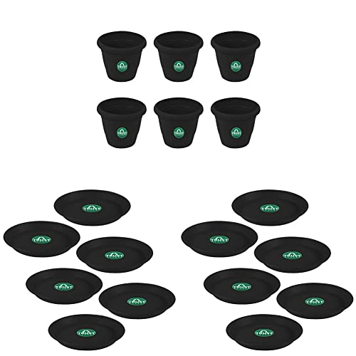 Image of TrustBasket Plastic Round Pot (8 Inches) - Black - Set of 6 Tray Plate /Saucer for 8-inch (6.4 inch Tray /Plate /Saucer for 10 inch Plastic Pot)