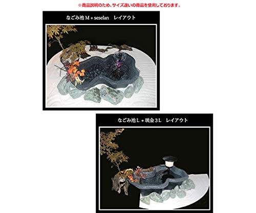 Amazon.co.jp: ゼンスイ なごみ池(庭園埋め込みタイプ) LL 150L 