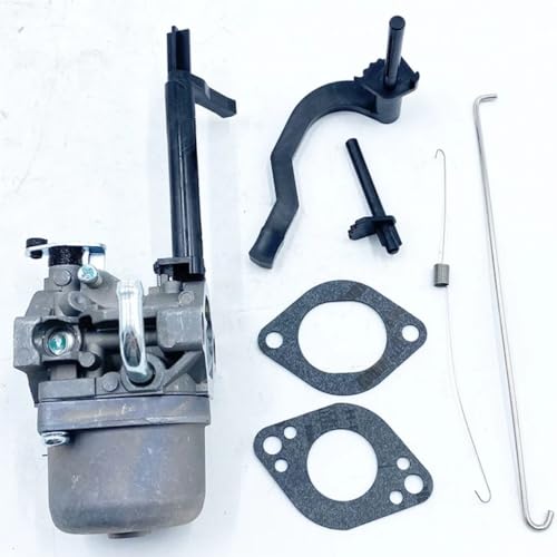 Carburateur souffleuse à neige pour moteurs modèles 591378 699966 699958 - 4