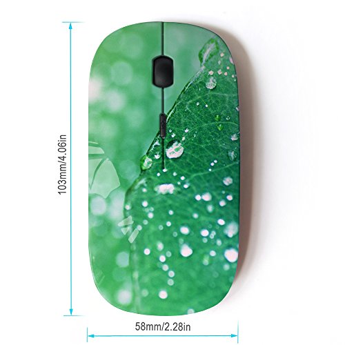 KOOLmouse [ Mouse Senza Fili Ottico 2.4G ] [ Oasis...