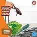 Schleich Wild Life Realistic Color-Changing Chameleon Figure - Wild Animal Toy Figurine, Durable for Education and Imaginative Play for Boys and Girls, Gift for Kids Ages 3+