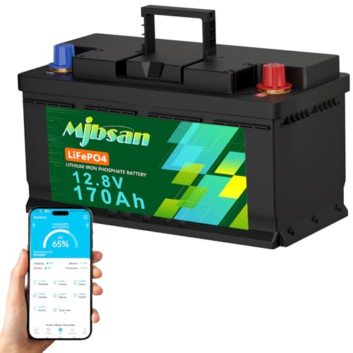 Mjbsan Batería de litio LiFePO4 de 12 V 170 Ah, 190 mm de altura, con Smart 150 A BMS, protección de baja temperatura, batería de litio de 2176 Wh de energía para autocaravanas, caravanas, acampadas