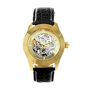 Continuum horloge automatisch horloge polshorloge voor mannen mannen analoog skelethorloge herenhorloge herenhorloge leren armband zwart waterdicht klassiek elegant cijferblad CO15004