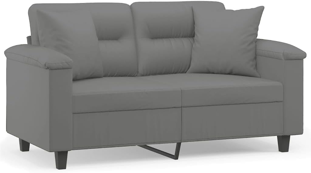 2-Seater Sofa Dark Grey Living Room Furniture