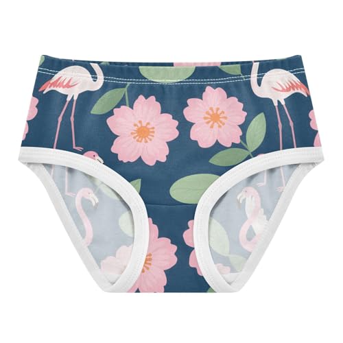 Underwear Elastic Waistband Panties Comfort Underwear for Girls in Sizes 2T,3T, 4T, 5T, 6Y and 8Y