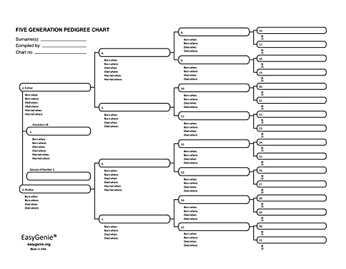 Easygenie Five Generation Pedigree Charts (30 Acid-Free Sheets, 8.5 By 11 Inches) Genealogy Forms For Ancestry thumb #2