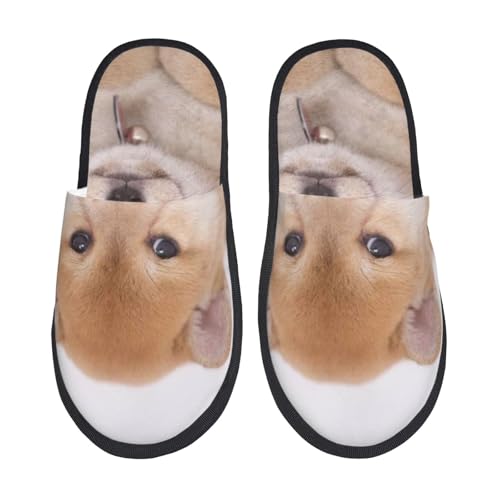 [JECASS]  13 lC v[g Aj Xbp  Y 􂦂 gC qp p E Xbpjp LN^[ ObY  fB[X ~ 킢 qpl