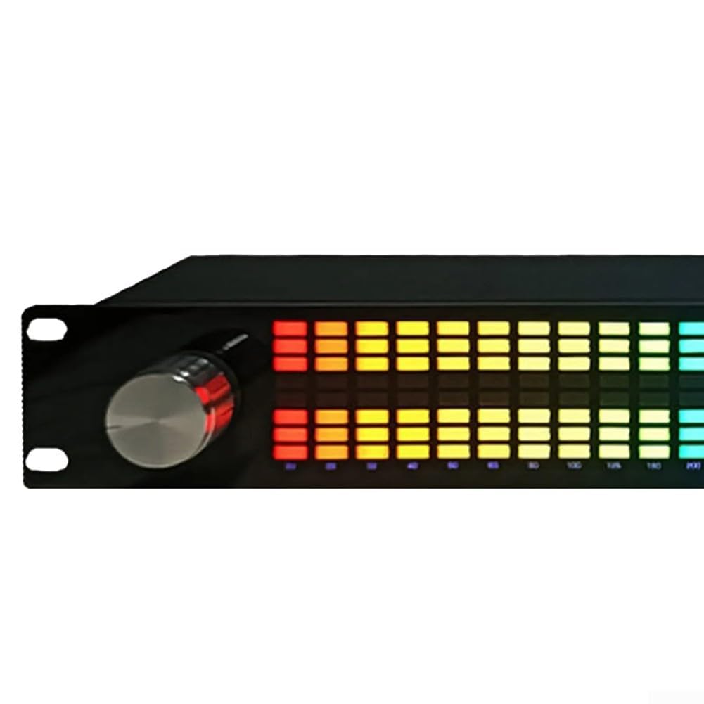 COYEUX Doppio Canale ecualizzatore Digitale a 15 Bande, Display di Spettro Musicale, con 31 Bande e più modalità per Il palcoscenico KTV Show Bar