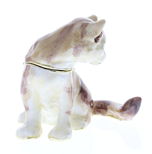 Ciel Collectables 1013425 Cat Decorative Trinket Box With Hand Set, 2.25" X 2" X 2" #TOP2