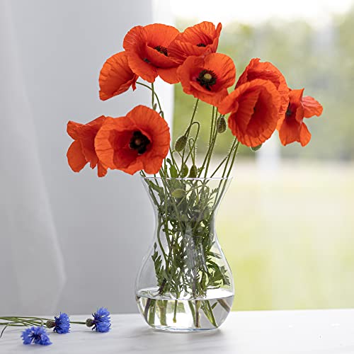Poppy Bloemenvaas, glazen vaas voor bloemen, glazen bloemenvaas, tafelvaas, decoratieve vaas, helder glazen vaas, decoratieve vaas van glas, woonkamer decoratie, decoratieve vaas, H 18 cm, - Afbeelding 8
