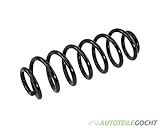 Wir liefern Weltweit SET SUPLEX FAHRWERK FEDER HINTEN FÜR VW PASSAT 3C 36 PASSAT VARIANT B7 365 B6 3C5 TIGUAN 5N 05-16 3C0511115AD, 3C0511115AD VON AUTOTEILE GOCHT