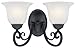 Hardware House 544866 Tuscany 14-Inch by 8-3/4-Inch Bath/Wall Lighting Fixture Textured Black