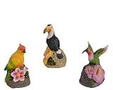 Lumineo Détecteur de mouvement - Oiseau décoratif - 11 x 7 cm - Avec capteur - 1 pièce - Oiseau décoratif exotique à poser - Détecteur de mouvement déclenche une mélodie - Figurine d'oiseau tropical