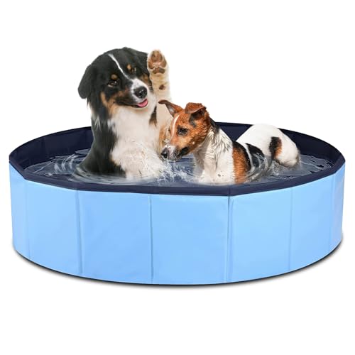 Piscina para perros grandes y pequeños, piscina para perros grandes y pequeños, 80 x 20 cm, plegable para perros pequeños, piscina infantil para perros pequeños, piscina infantil para perros