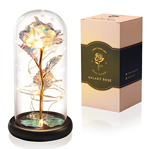 VUDECO Beauty and The Beast Rose in Glass Dome Rose Forever Rose in Glass Rose Flower Gift Enchanted Galaxy Rose Flower Gift Gold Flowers LED Rose Mothers Valentines Day Gifts Her Daughters Women Mom