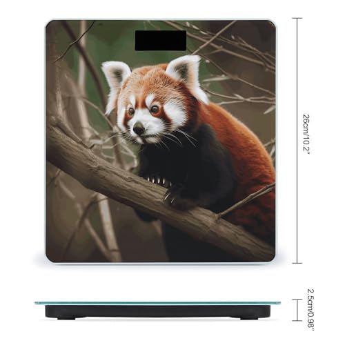 Báscula digital inteligente para baño con diseño Panda miniatura 2