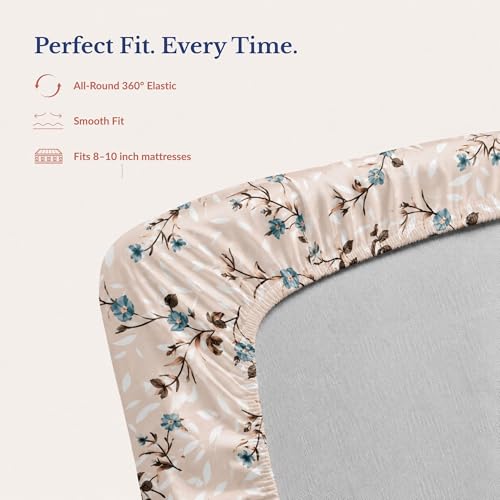Image of Jaipur Weaves Queen Size Fitted Bedsheet Cotton with Elastic, 100% Pure Cotton Double Bed Fitted Sheet with 2 Pillow Covers,240 TC,60x78 Inches up to 8-inch Mattress,Floral Design (Spring Tulips Pink)