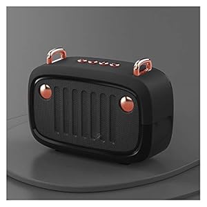 Radio Portable Bluetooth V5.0 Speaker Long Worktime Outdoor luidspreker Ondersteuning TF kaart/U disk/FM draadloze subwoofer (Color : Black)