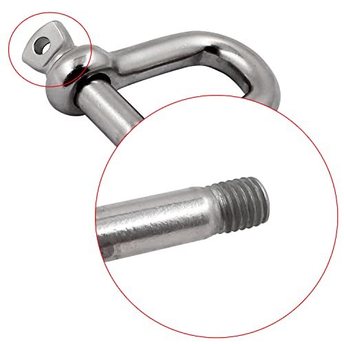 Shenghuiss D Shackle Stainless Steel 316 Marine Hardware Boat Anchor D Ring Forged Shackle 3/8 Inch 2 Pack thumb #3