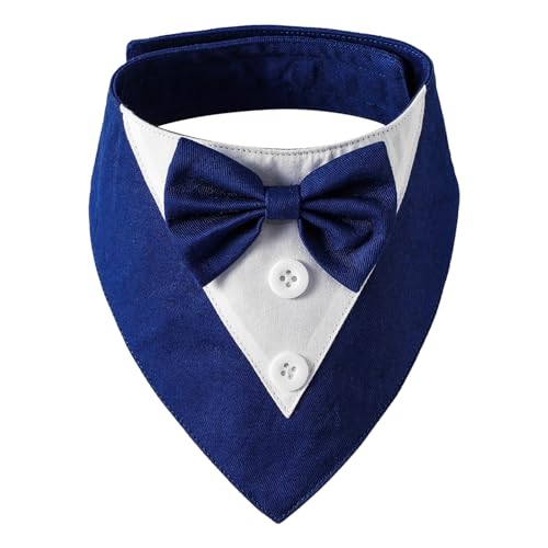 GKgȌlbJ`[t{E^Co_iX[cfUC\tgʋC߉\ȔL̎փp[eB[MUOo_i