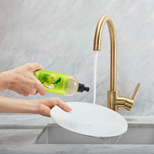Image of Caldrea Dish Soap, Biodegradable Dishwashing Liquid made with Soap Bark and Aloe Vera, Ginger Pomelo Scent, 16 oz