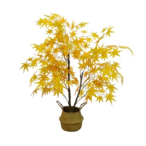 tlH؁ÂlH؁AlHAAtFCN[tAtFCNvgAAItBXAfXNAƂ̑ɍœK(Yellow,90cm/35.4in)