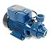 Schraiberpump 0.5hp 115v Peripheral Impeller Pump 110ft lift 11gpm