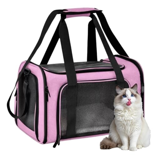 chengshuang ybgL[ obO ybgobO V_[  ^L ^ p ܂肽 ό`Ȃ ʋC LCȂ ~ɋ LsO s (sN,Mi45*28*28cmj)