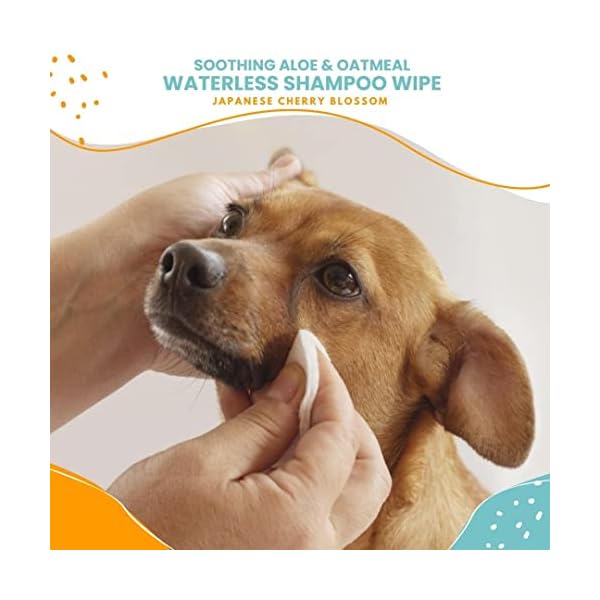Nootie Wasserlose Shampoo-Tücher für Hunde und Katzen, langanhaltender japanischer Kirschblütenduft, verkauft in über 10.000 Tierkliniken und Tiergeschäften weltweit, 70 Stück – Bild 4