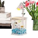 Acuario para peces combatientes | Acuario con iluminación para peces Betta,Decoración de oficina silenciosa ecosistema claro para casa oficina al aire libre mesa con camarones y cangrejos