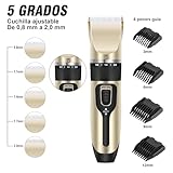Professioneller Haarschneider, All-in-1 Körperhaartrimmer, kabelloser Präzisionstrimmer, 90 min, ultraschallscharfe Klinge, für Männer, Kinder oder Haustiere
