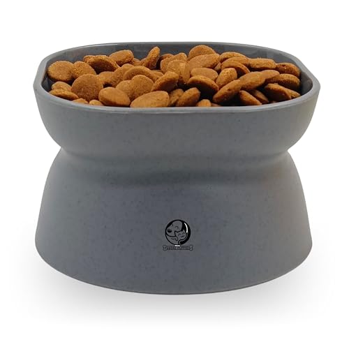 Image of Foodie Puppies Cat Raised Food and Water Feeder Bowl - (Square Raised Bowl, 250ml) | Anti-Slip and PP Material Pet Feeding Dish | Suitable for Cats, Kittens, and Puppies (Color May Vary)