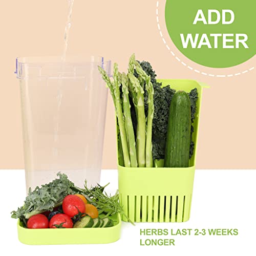 Image of LUVCOSY Fresh Herb Keeper for Refrigerator, Clear BPA-Free Herb Saver, Storage Container for Cilantro, Parsley, Thyme, Mint & Asparagus, Preserver Keeps Fresh Herbs for 3 Times Longer, Green & Orange