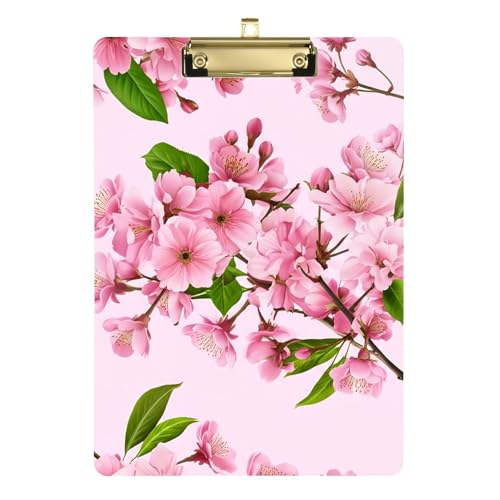  sNt[ ANNbv{[h i[XNbv{[h 12C` x 9C` fB[X LbY Nbv{[h sN ItBX wZ ANZT[ S[h