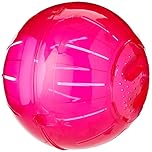 Walter Harrison's Small Animal Plastic Running Exercise Ball For Degus and Rats - Large - 25 cm