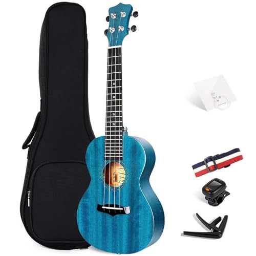 EN S 21/23C` ei[EN \bhRT[g}zKj[gbvXgO~jM^[ P[Xƃ`[i[t nCAEN(Blue,23inch)