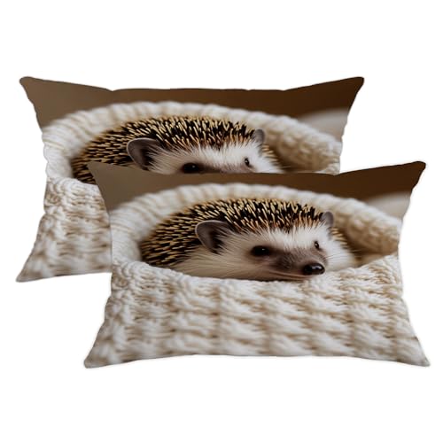 Image of Hedgehog Throw Pillow Covers Set of 2, Natural Fanciful Knitted Texture None Brown with Hidden Zipper Cushion Covers Pillow for Home Living Room Bedroom Dorm Couch Decor 20x12 Inch