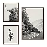 Kate and Laurel Sylvie Highland Cow, Wandering and Vintage Botanical Black and White Framed Linen...