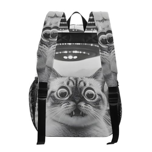 Cat Surprise Funny Clear Backpack, PVC Transparent Bag with Large Capacity for Boys, Girls, Men, Women, See Through Bookbag for School Work College Travel3