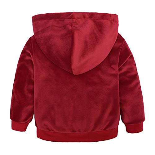Boys Girls 2 Pcs Velour Tracksuit Sweatsuit Toddler Kids Long Sleeve Pullover Hoodie + Elastic Waist3