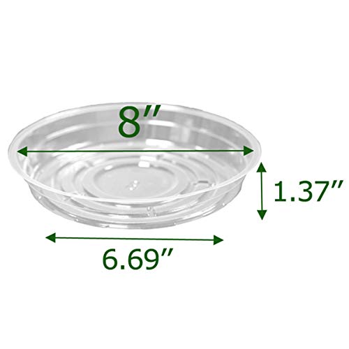 Truedays 8 Inch 5 Pack Clear Plant Saucers Flower Pot Tray Excellent For Indoor & Outdoor Plants #TOP1