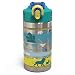 Zak Designs The Lion King - Stainless Steel Water Bottle with One Hand Operation Action Lid and Built-in Carrying Loop, Kids Water Bottle with Straw Spout is Perfect for Kids (15.5 oz, 18/8, BPA Free)