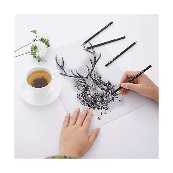 MARKART Professional Drawing Sketching Pencil Set - 14 Pieces,Graphite,(12B - 4H), Ideal for Drawing Art, Sketching, Shading, Artist Pencils for Beginners & Pro Artists - Image 7