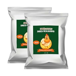 20lbs Mealworms, High-Protein Dried Mealworms for Birds, Chickens, Turtles, Fish, Hamsters and Hedgehogs, Non-GMO and Chemical Free, All Natural Animal Feed